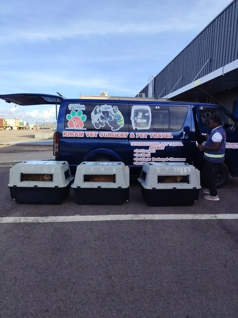 The branded Kiram Vet Surgery and Pet Travel van at the cargo terminal with three IATA travel crates lined up beside it
